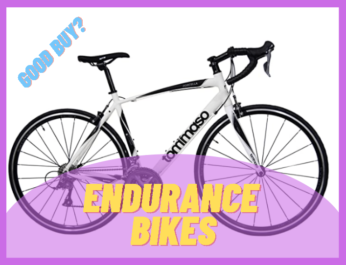 endurance bike